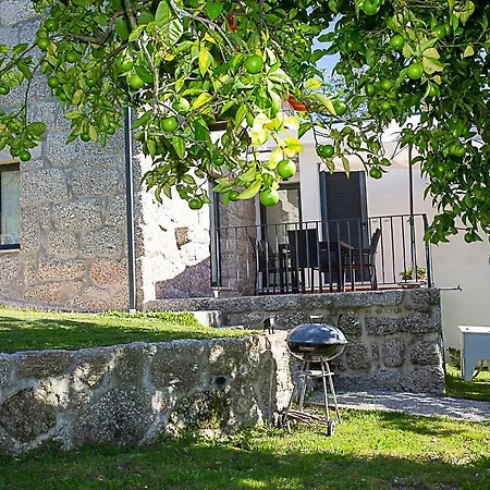 Regada House Country house Vieira do Minho